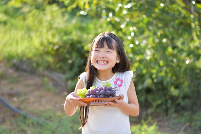 山口県移住 DX推進
